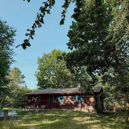 60s Log In Peaceful Nature In Djursland