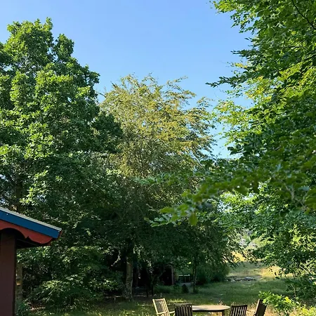 60s Log In Peaceful Nature In Djursland
