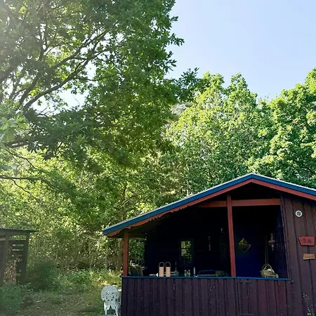 60s Log In Peaceful Nature In Djursland * Ebeltoft