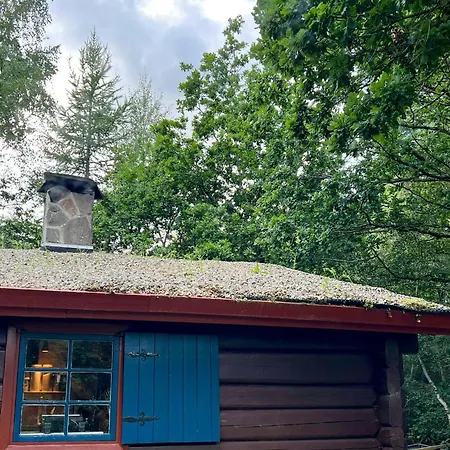 60s Log In Peaceful Nature In Djursland * Ebeltoft