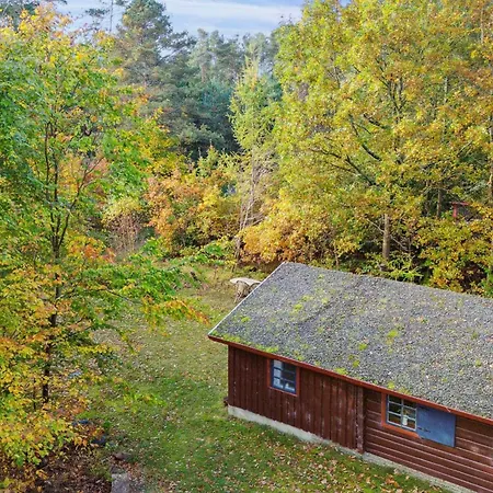 60s Log In Peaceful Nature In Djursland *
