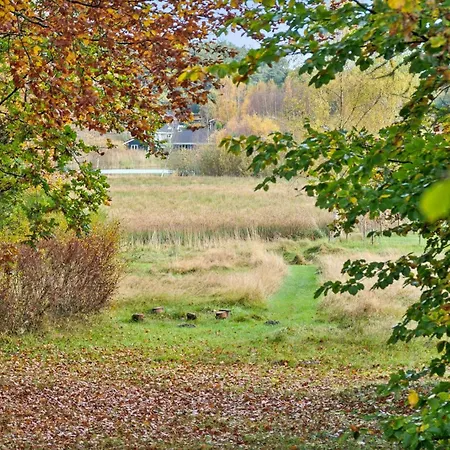 60s Log In Peaceful Nature In Djursland * Ebeltoft
